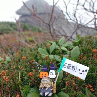 本日6座目の当麻岳🐸🎃✈️