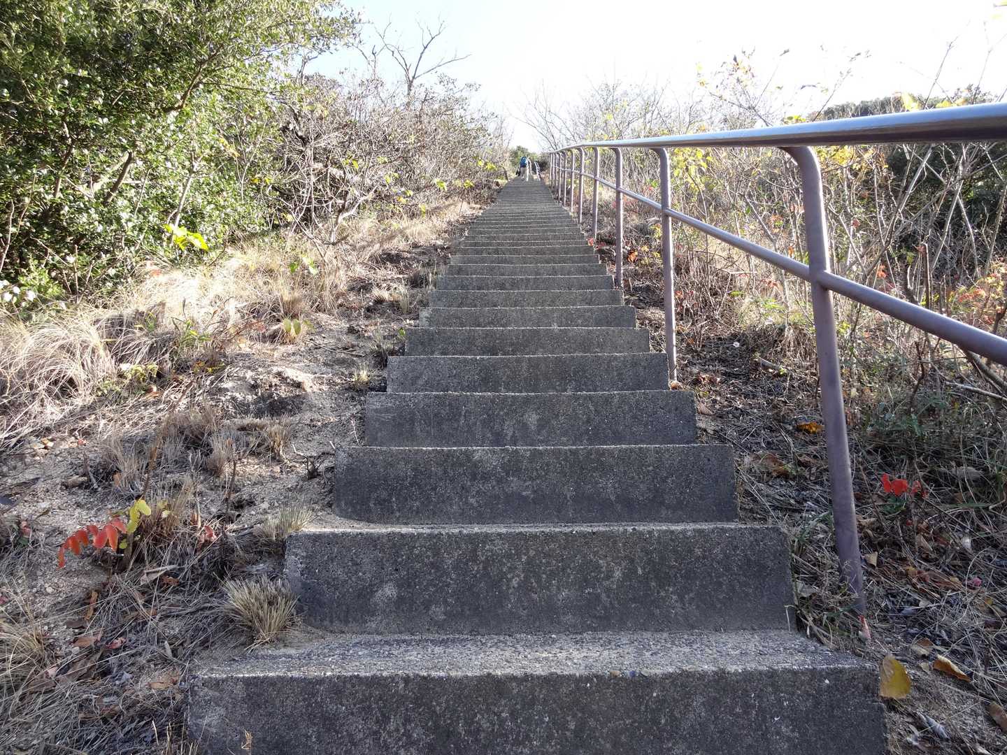 また直登かい！