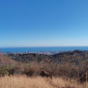 気のせいか
海が丸く見える・・。
水平線がキレイ