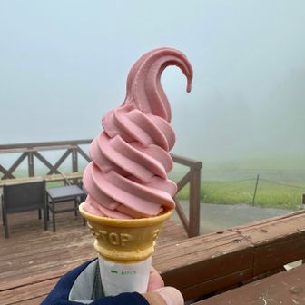 ルバーブソフトクリーム
外せないです。😋