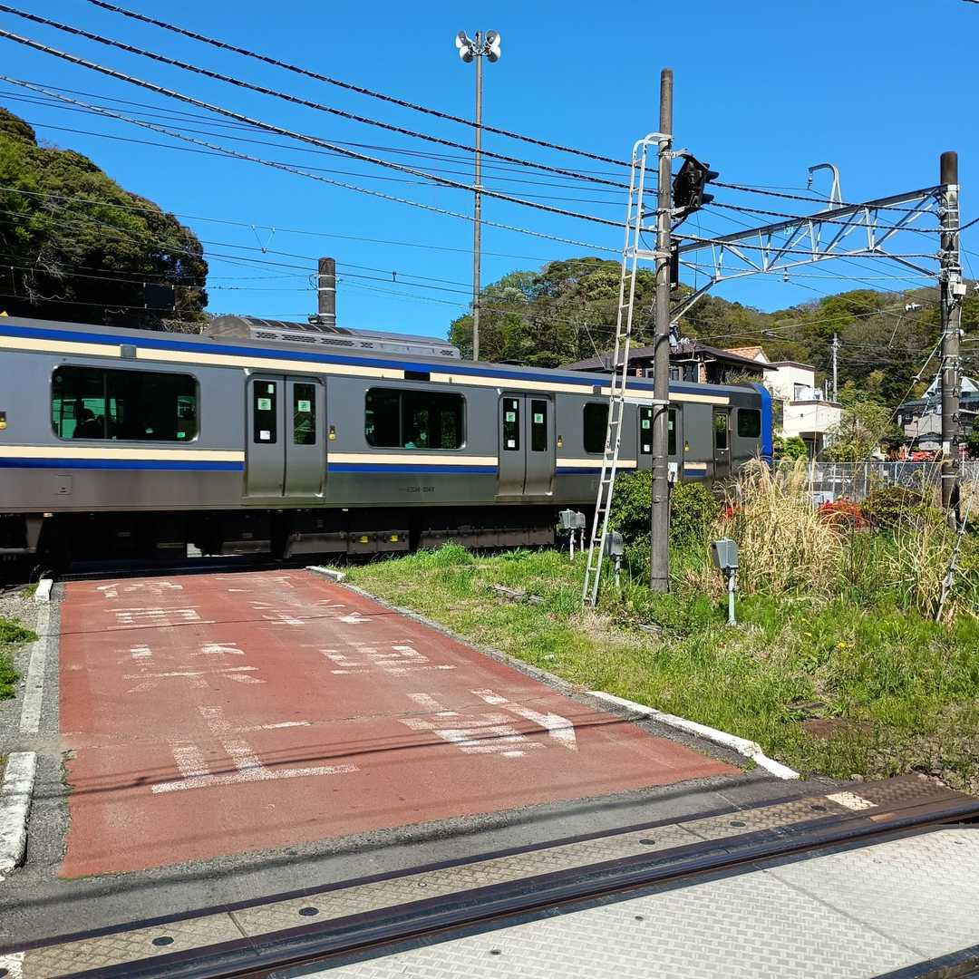 横須賀線