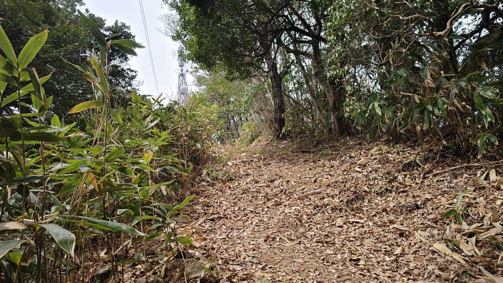 画像では伝わりにくいですが結構な急登りです💦
