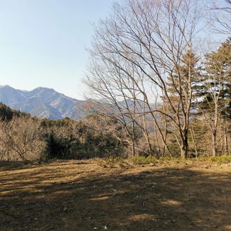子の権現手前の広場に出ました