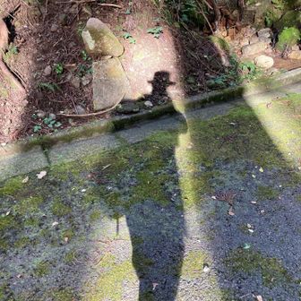 荷物重っ。今回は山頂で水を捨てることなく下山も同じ荷重。膝がガクガク。