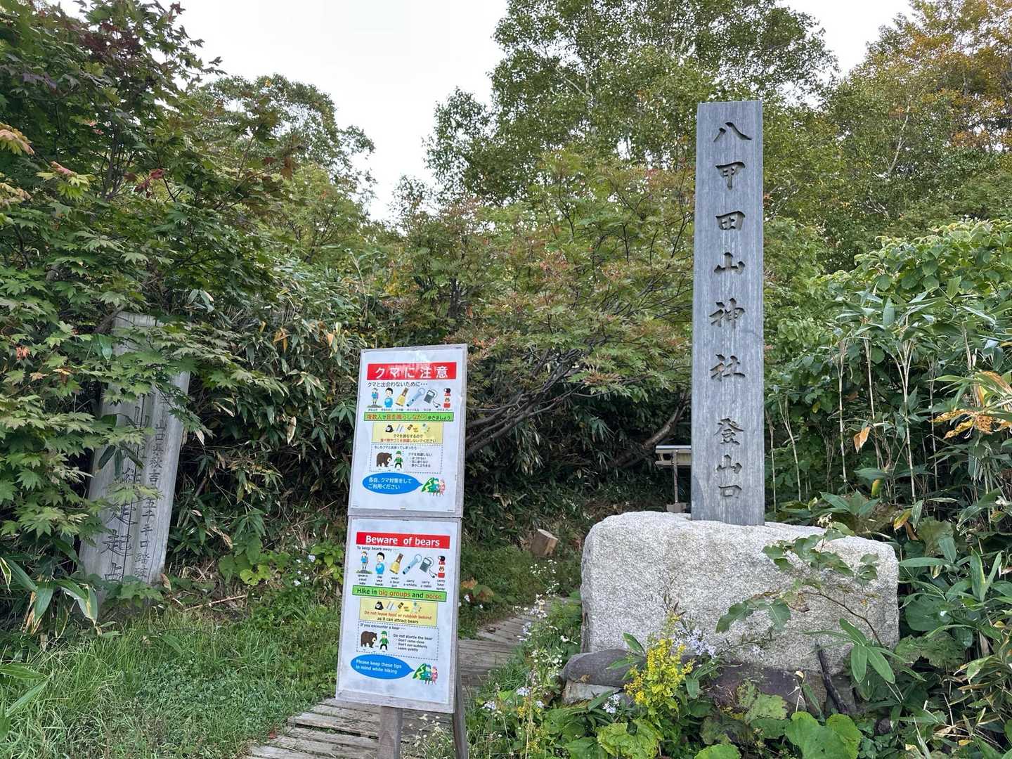 チングルマやハクサンシャクナゲはもう見れないけど紅葉に期待🍁