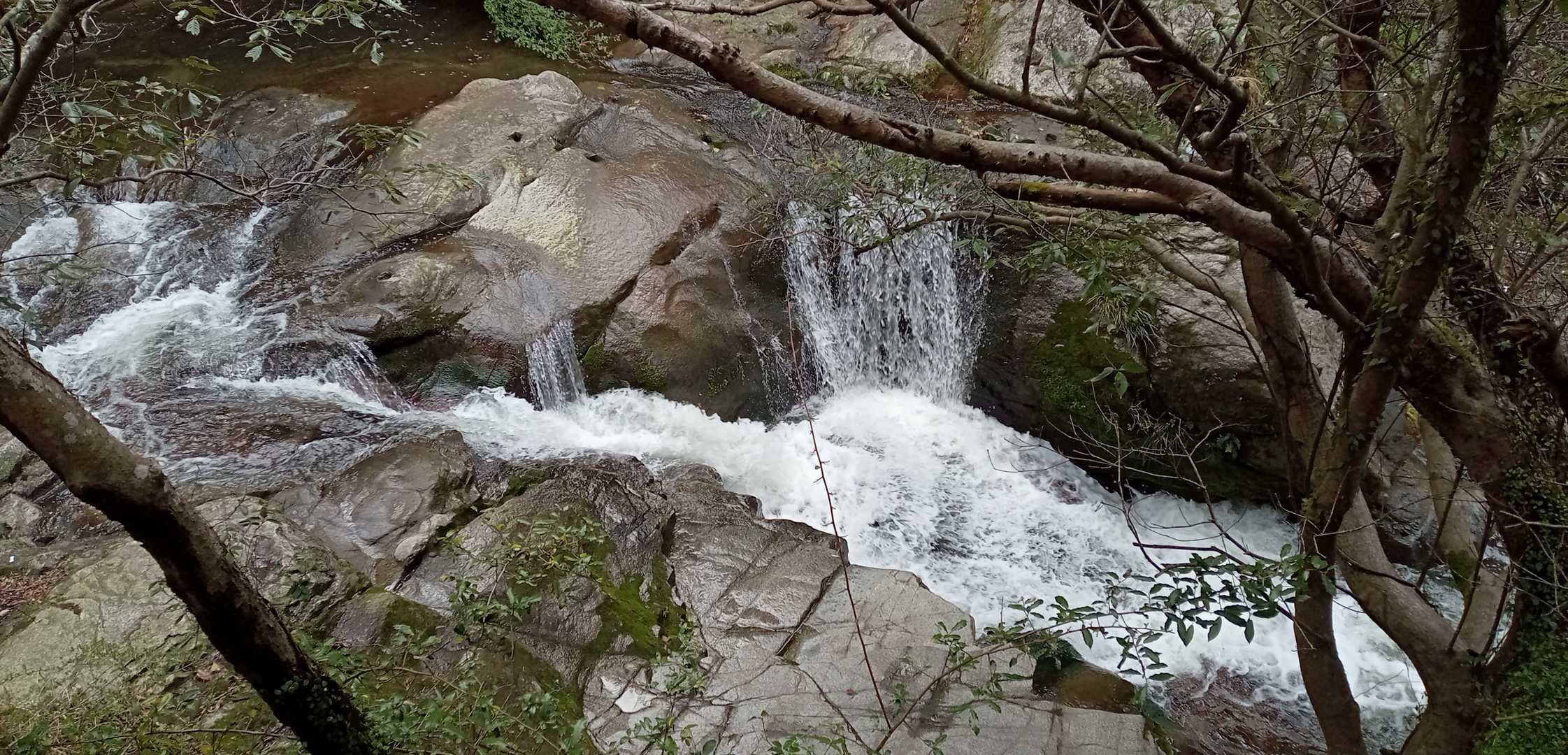 昨日の雨で水がいつもより多い気が…