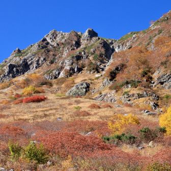 まさに錦秋🍁
この景色を見れて感動✨