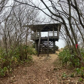 羅漢山の展望台