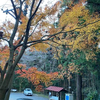 阿夫利神社の駐車場に戻ってきました。
紅葉が残っていた。