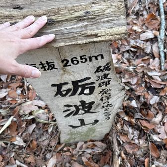 砺波山とーちゃく🏔️
今日は時間も遅いのでココまで。

本当なら、もう少し歩いて小矢部の町まで行って埴生護国八幡宮まで歩けます🚶