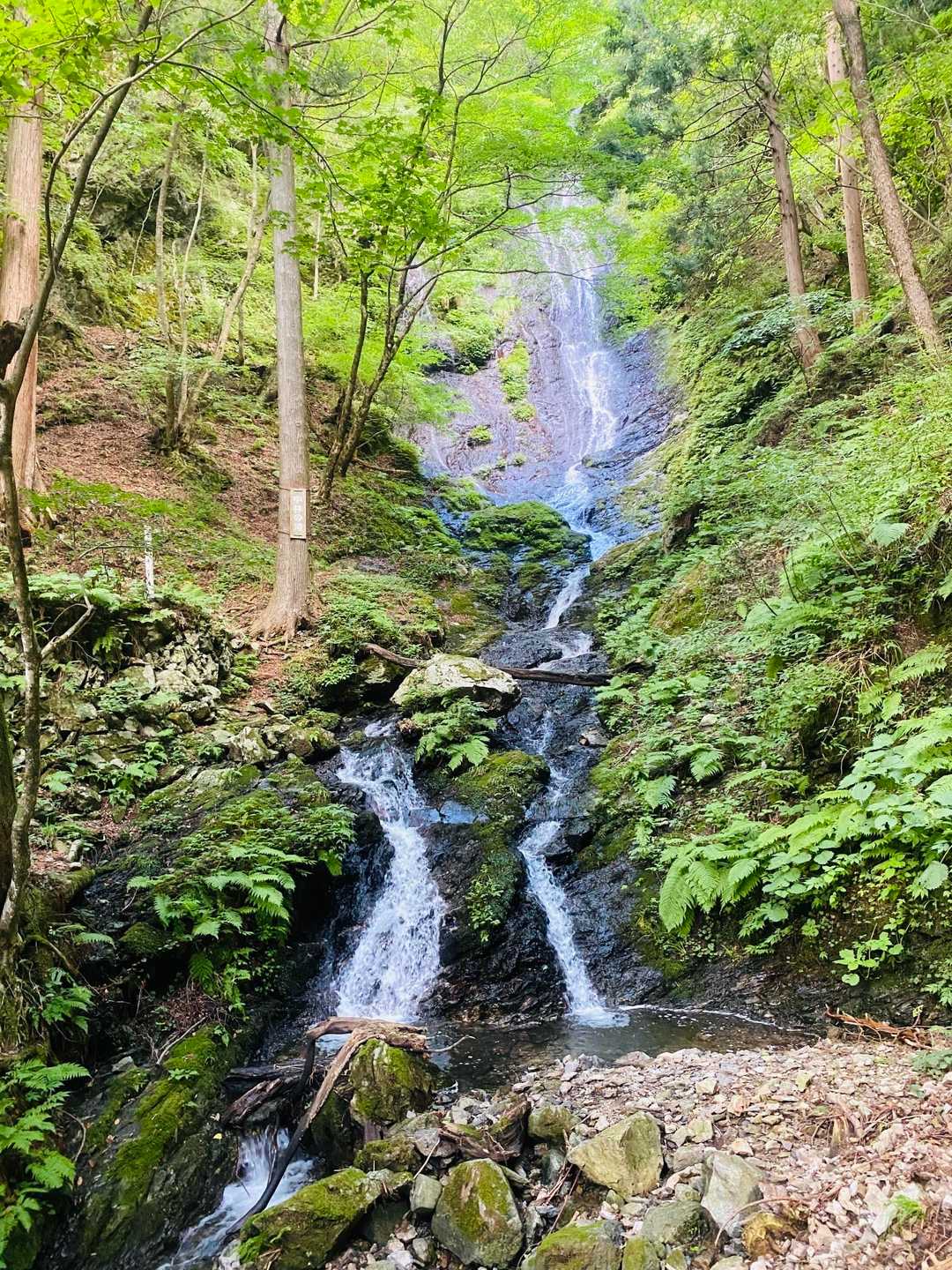 中林の滝 