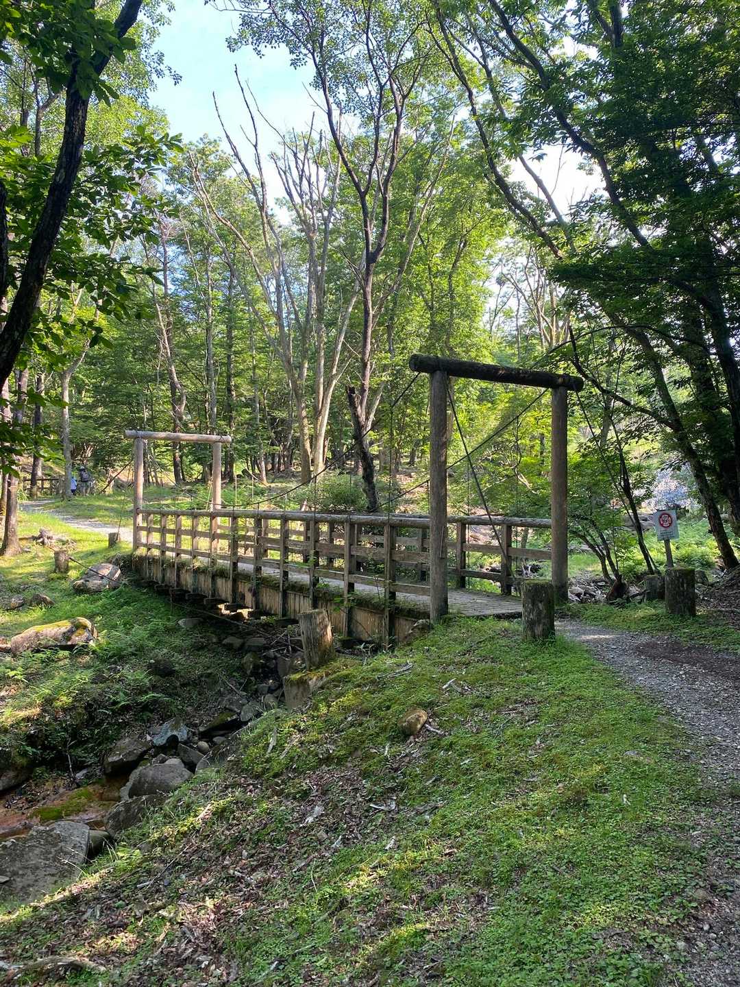 途中から登山というより、ハイキングの装いだ🏞️
峰山高原から砥峰高原まではハイキングコースが整備されており、沢山の方が歩かれていた😌
また、子供達ともキャンプしながら行こうと思う😊
