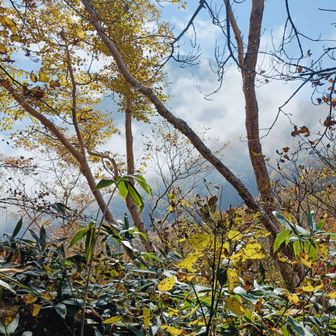 妙高山も見収め!