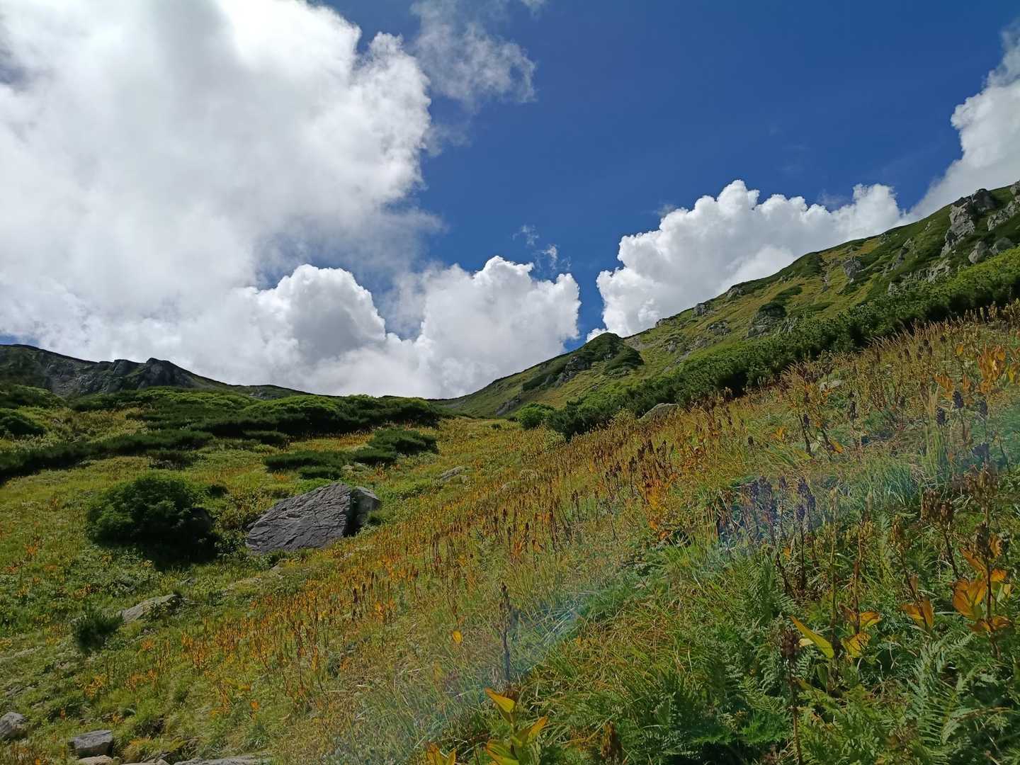 双六岳-丸山-三俣蓮華岳-鷲羽岳 周回コースの写真
