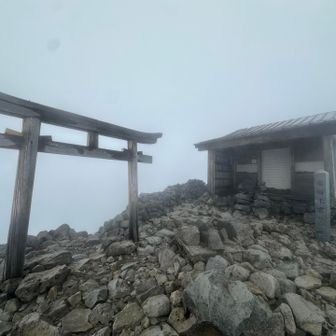 爆風🌪️で劇寒🥶　今シーズンラストチャンスですよ☃️