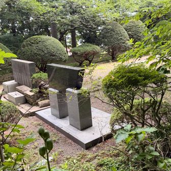 横目に見ながら