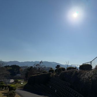 気持ち良い天気になったなぁ☀️
朝の霧と寒さがウソの様だ…