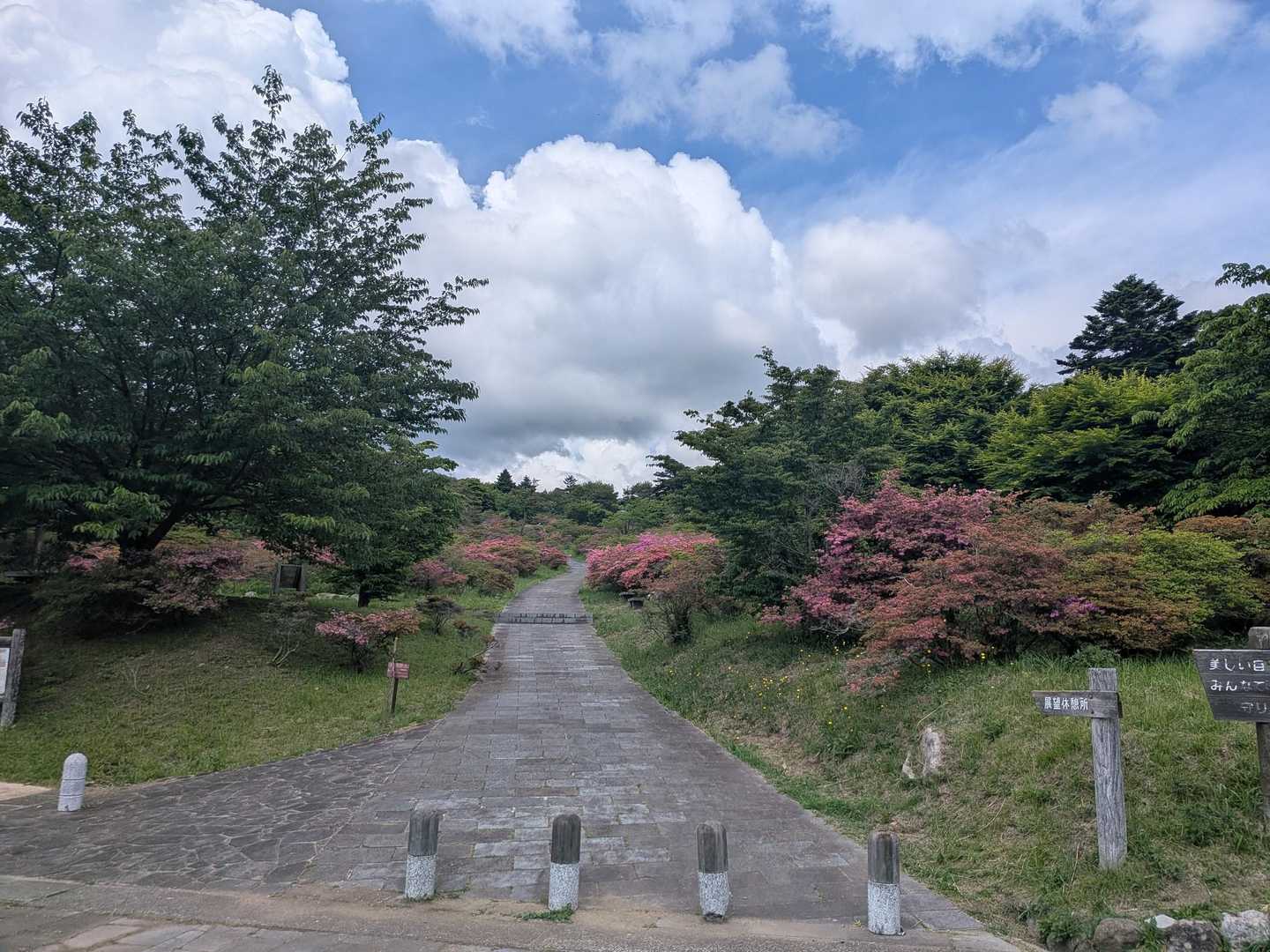 高岩山 往復コースの写真