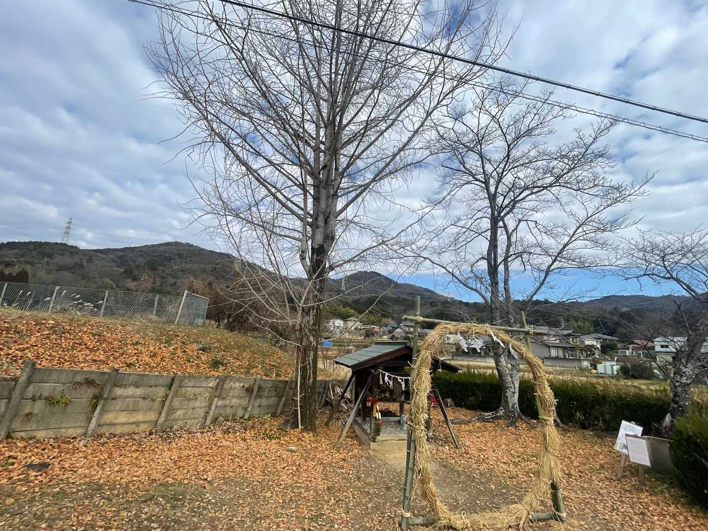去年はもうなくて…
くぐれなかった…