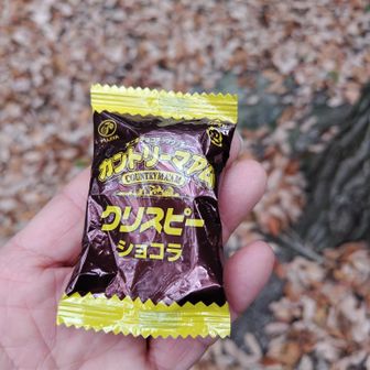 日替わり定食についていたおやつをたべてから引き返します