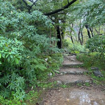 やばーい！
時間がない。
と
近道？なのか？？？