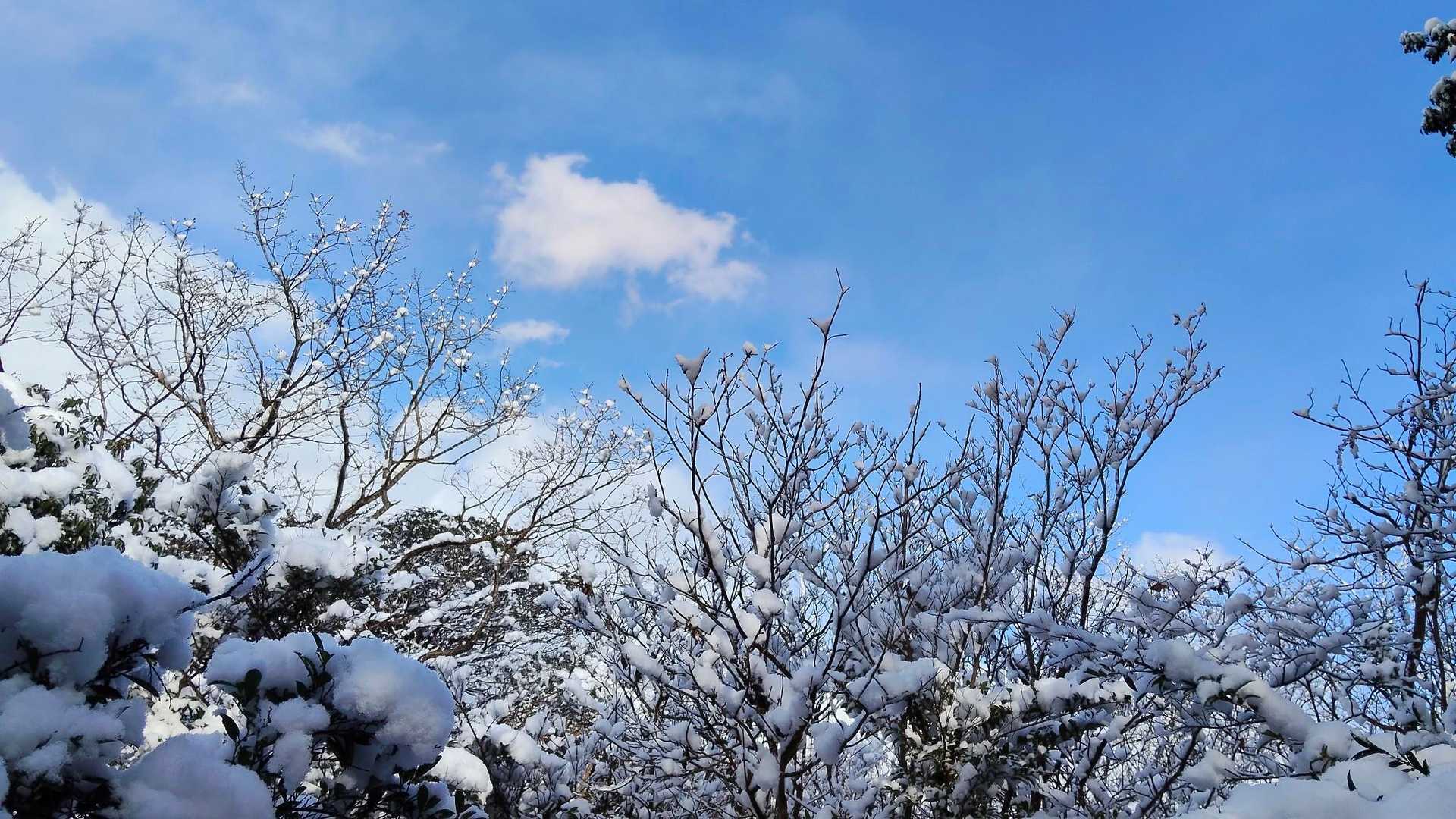 御所ヶ岳登山口-御所ヶ岳-馬ヶ岳-大谷登山口 縦走コースの写真