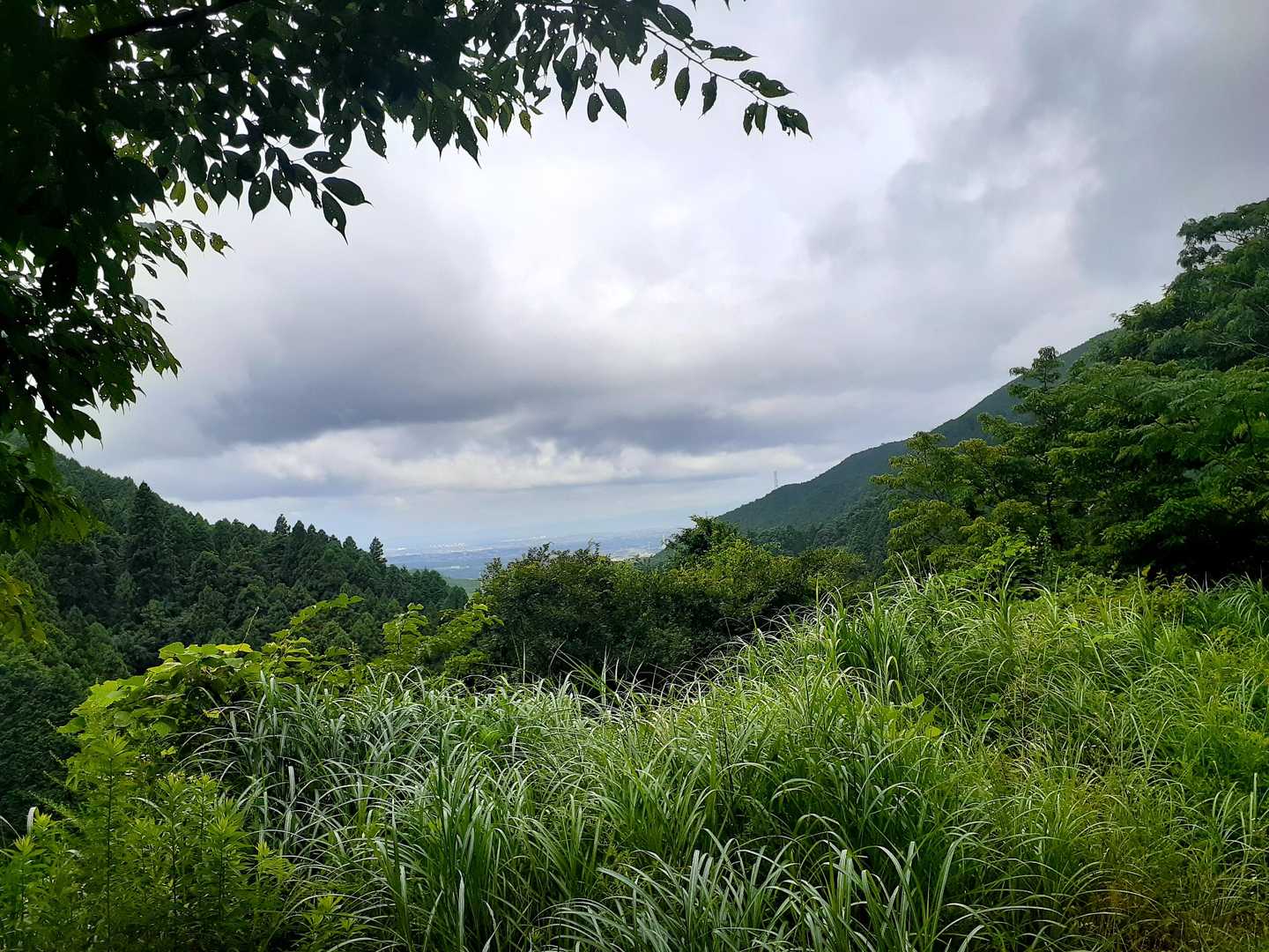 水越峠バス停-金剛山山頂売店-金剛山 周回コースの写真