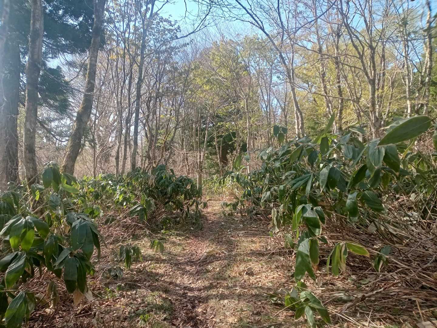 欲は出さずに撤収モード