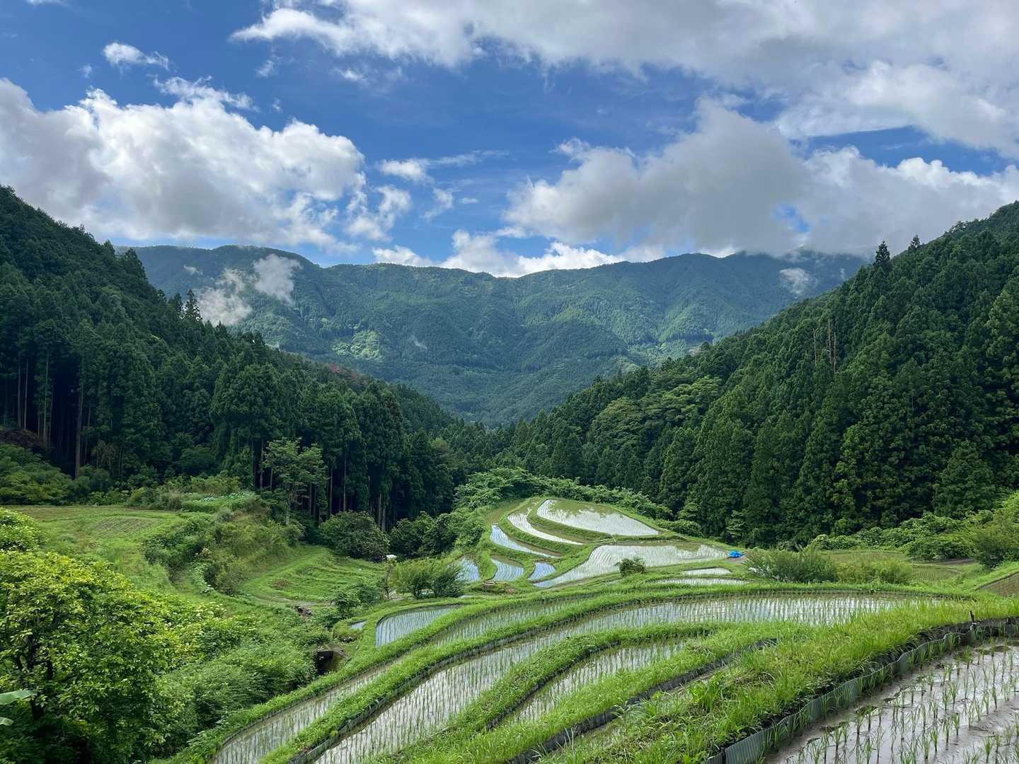 ずっと曇ってた空も晴れて来ました🙌