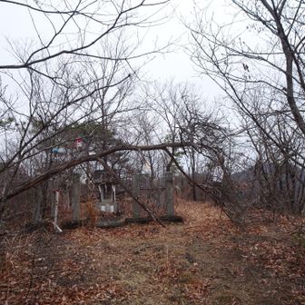 分岐に戻ってハイキングコースを行くとすぐに３つ目のピークに到着