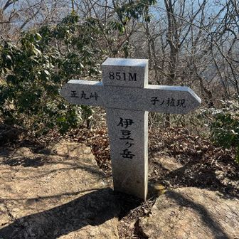 頂上は大きな石・岩がゴロゴロしてました
眺望はイマイチかな