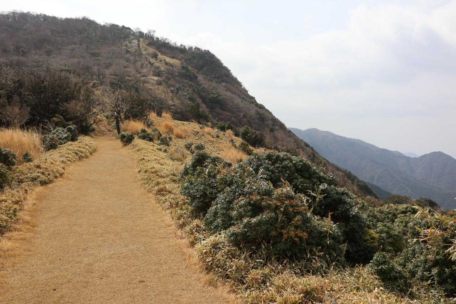 金冠山〜小達磨山〜達磨山〜古稀山〜伽藍山　往復コースの写真