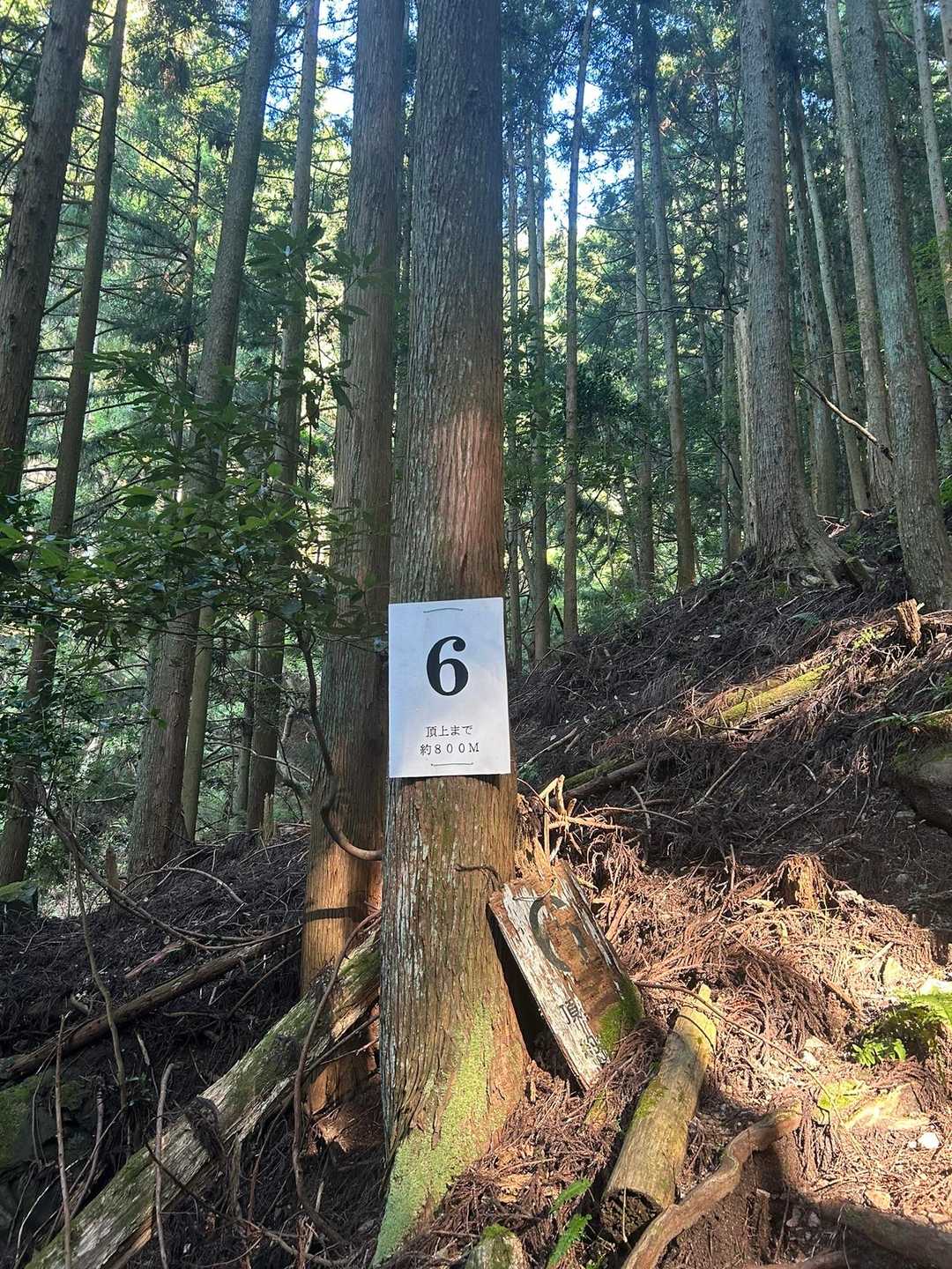 東登山口-錫杖ヶ岳-錫杖ヶ岳登山道口 周回コースの写真