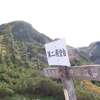 天狗岳が見えます😃
岩稜帯に登っている人も見えます👀