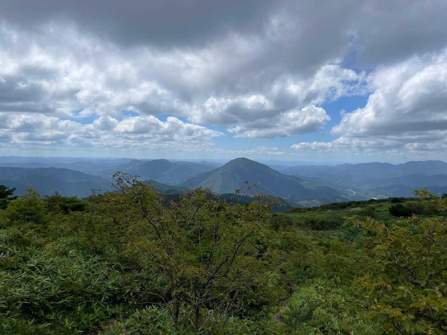 猫山