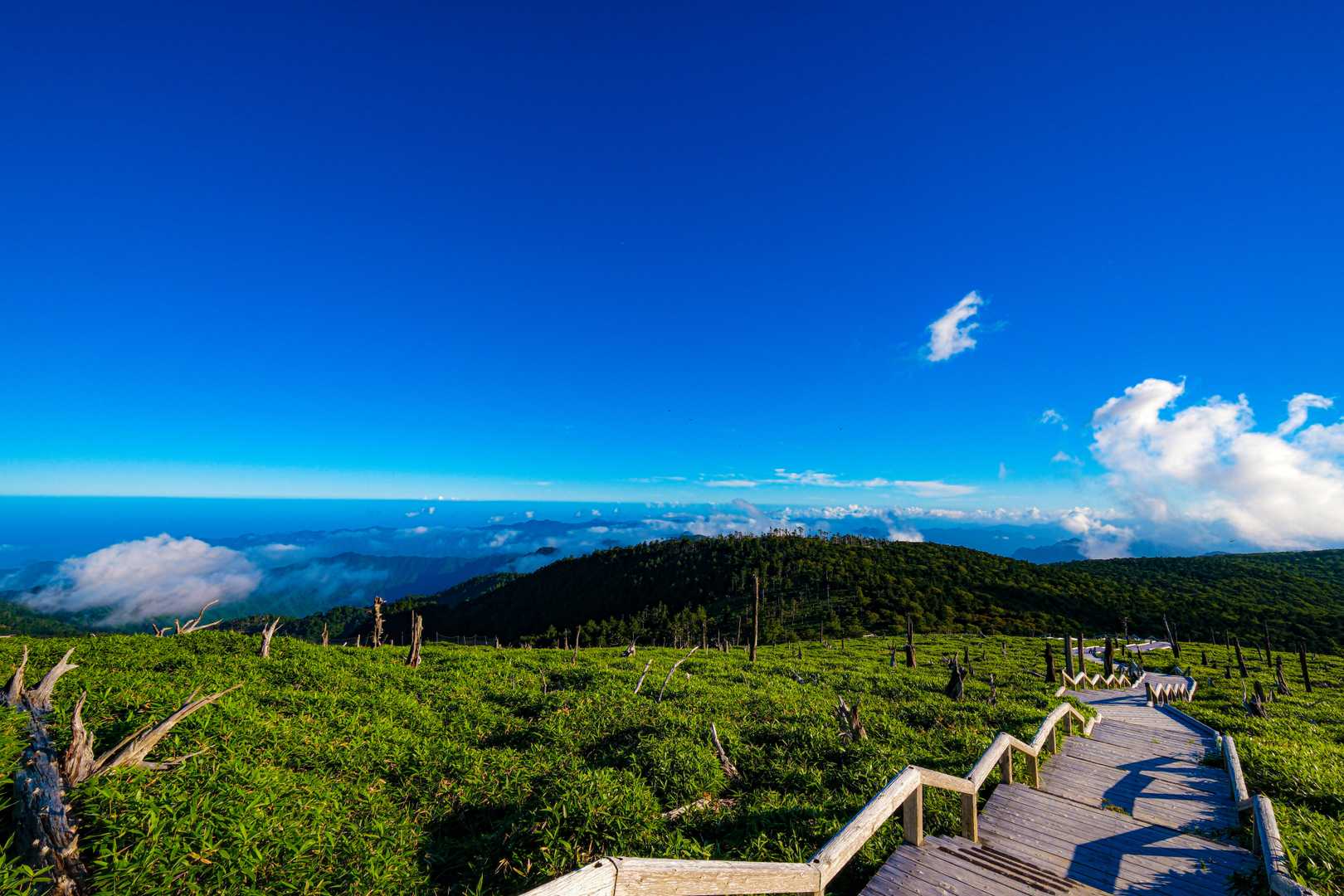 贅沢な夕涼み🌻