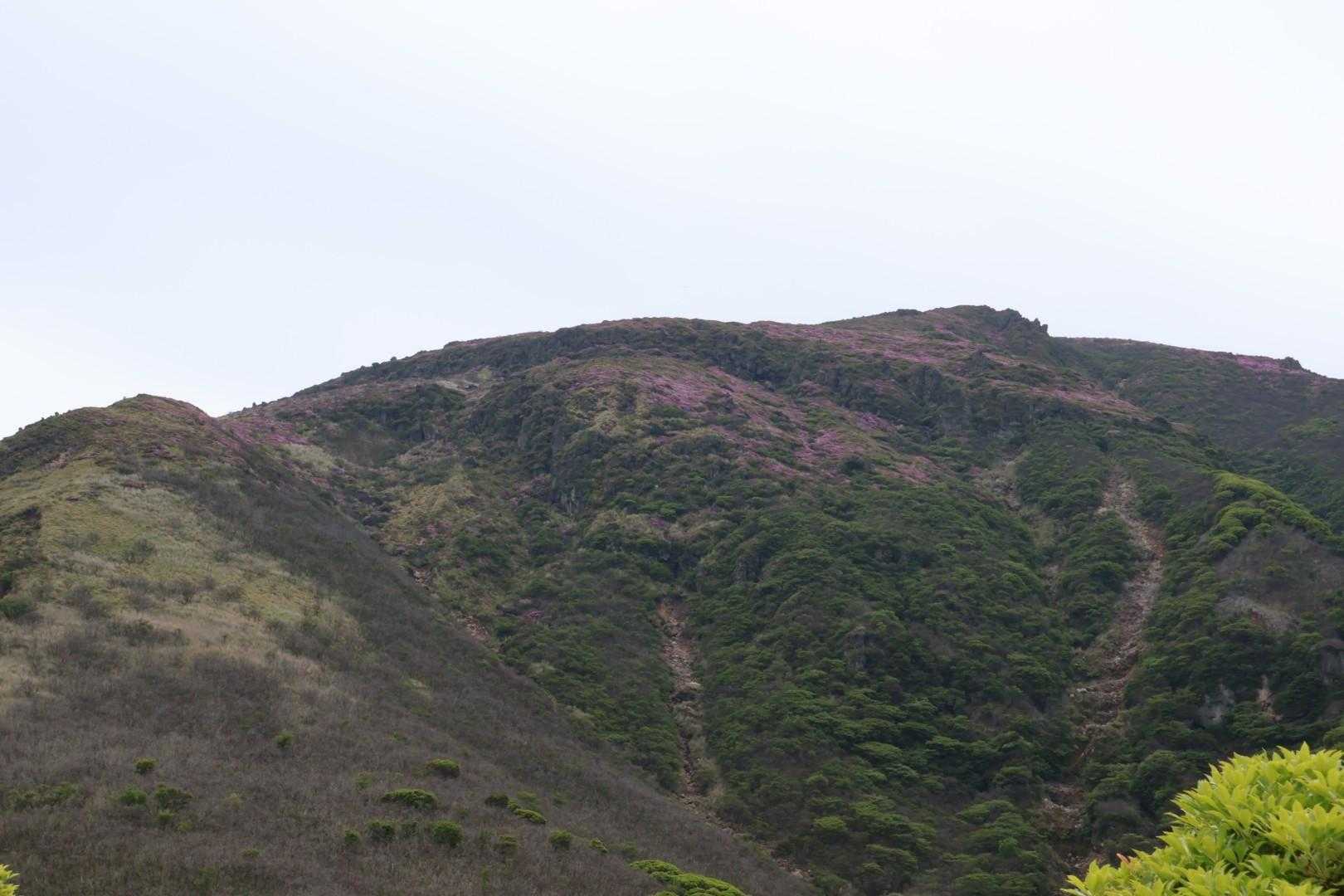 いつもの、大曲から🚶‍♀️
星生山も綺麗🌸