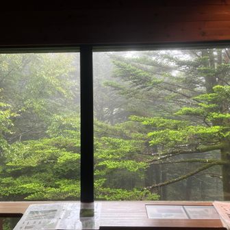 ビジターセンターに着く頃には凄い風と雨🌀
ピストンにして正解でした。
