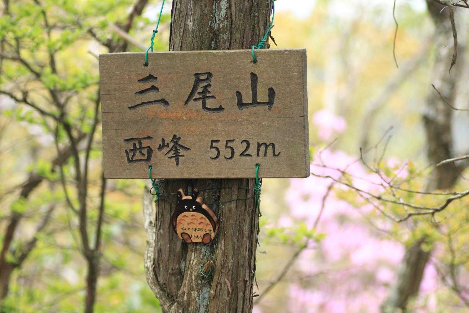 西峰山頂🗻