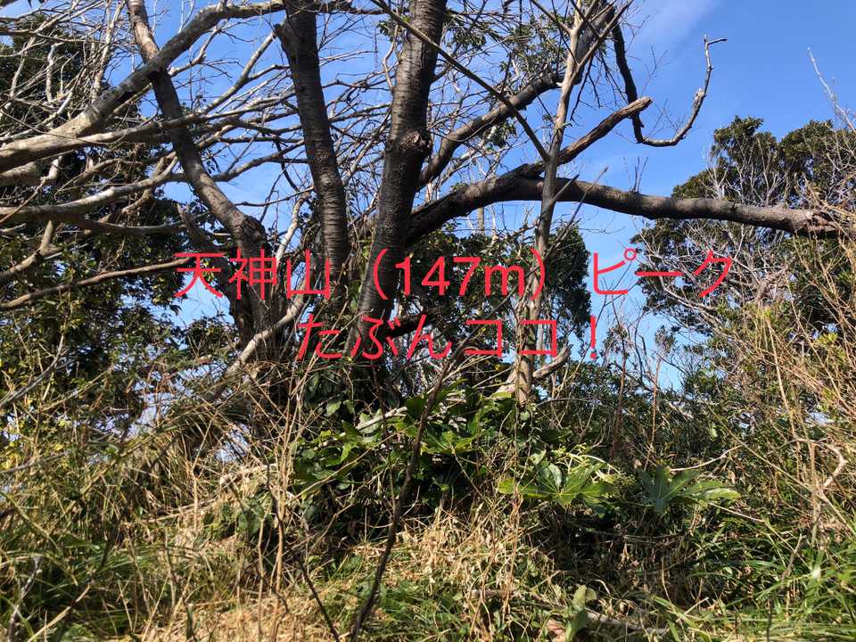 キョロキョロして、恐らく一番標高高そう！