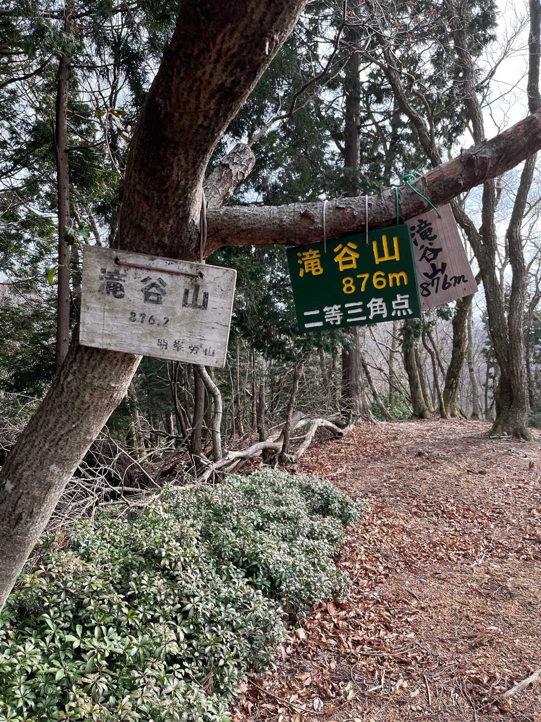 滝谷山（京都府）の写真