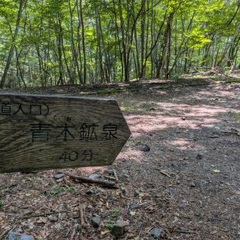 林道40分だと？