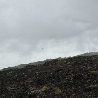 ん？ヘリの音が聞こえる…

救助🚁でした。