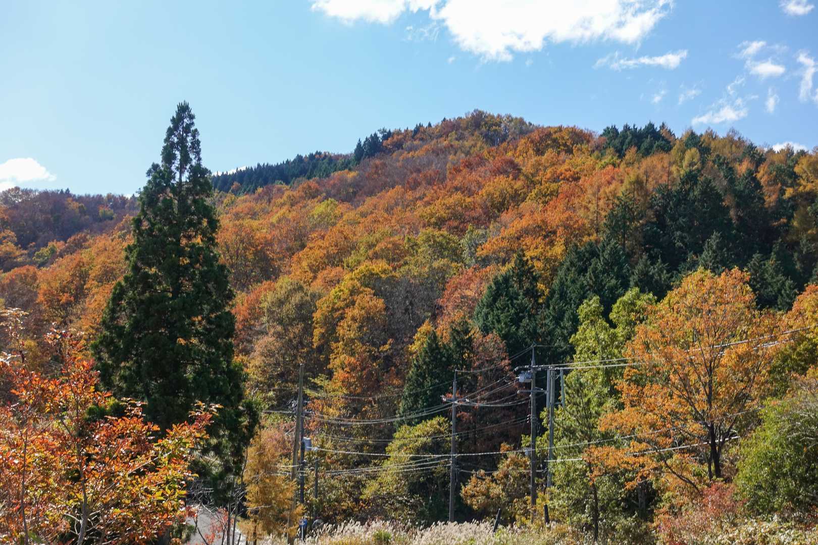 高清水トレイル登山口-大畝山-御林山-池川山-ブナの谷頭- 往復コースの写真