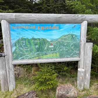 大弛峠到着🛬
標高は2300mより高い！金峰山に向けて出発