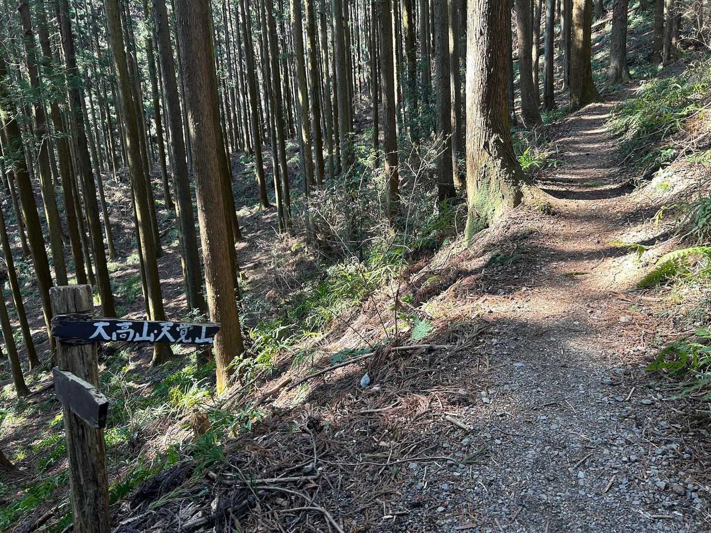 所々に案内板あり。
何気に最初が急登(￣◇￣;)