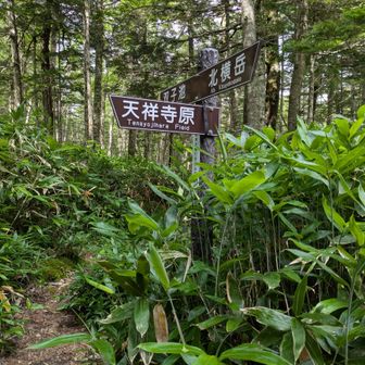 亀甲池から天祥寺原に進みます