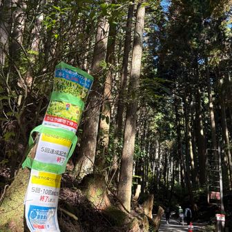 10回の記念日も終了から〜