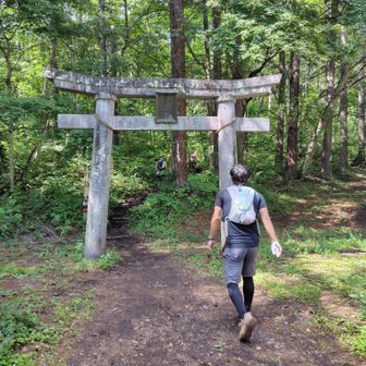 鳥居をくぐって最後の登りへ
まだ脚は残ってる感じ