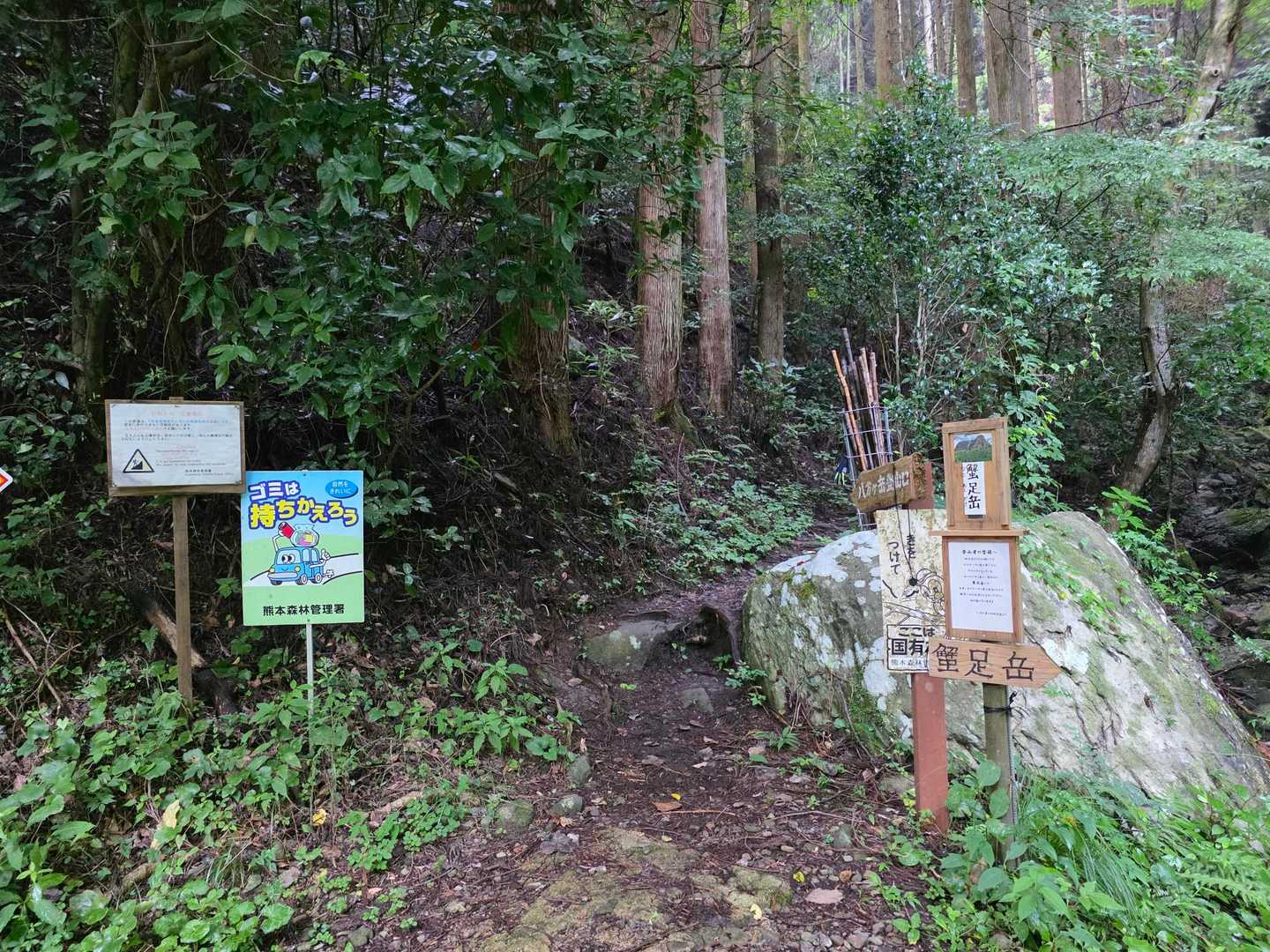 入山。気温は低めだけど、湿度が高い💦